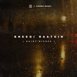 Bheegi Raatein Rainy Nights