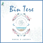 Bin Tere