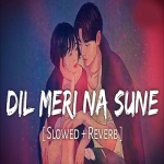 Dil Meri Na Sune Slowed Reverb