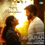 Hey Minnale - Amaran