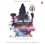 Om Namah Shivaya